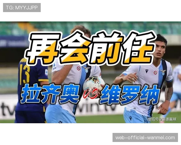 维罗纳上一次联赛赢球追溯至去年12月 陷入深度保级危机 维罗纳上一次联赛赢球追溯至去年12月 陷入深度保级危机